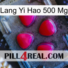 Lang Yi Hao 500 Mg 13